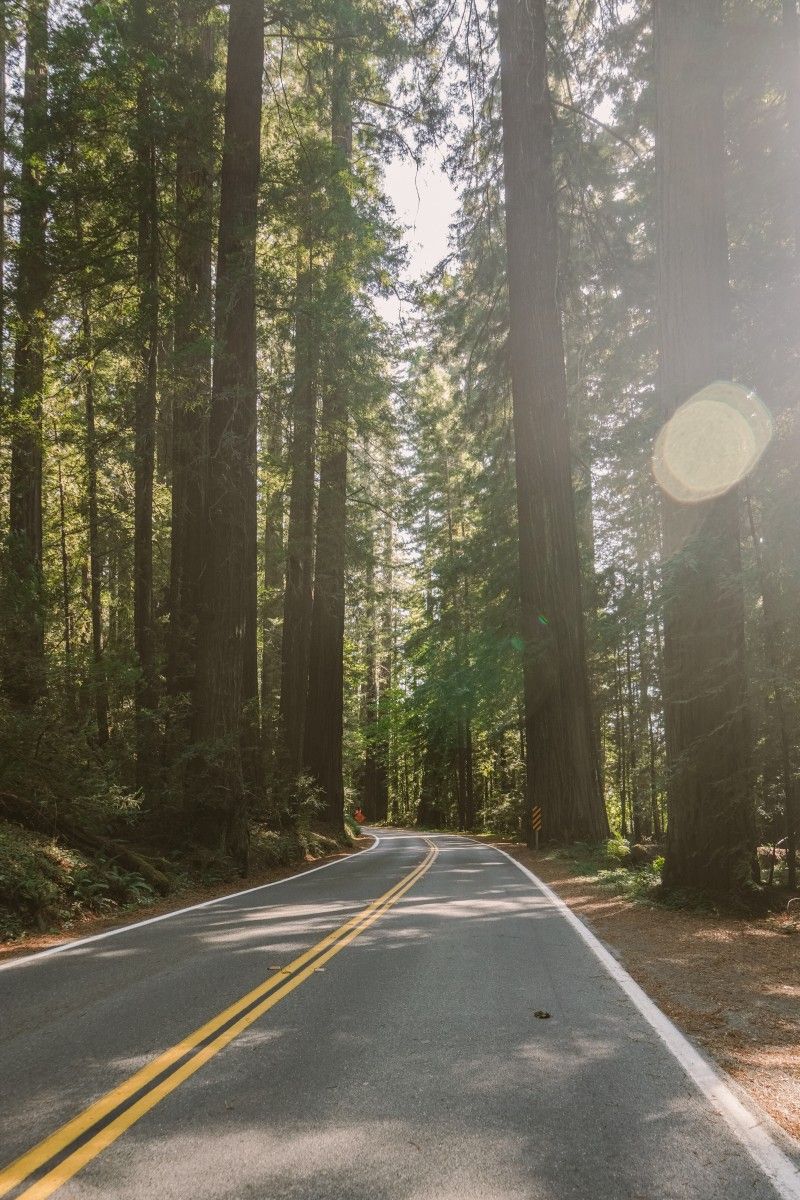 PUR ISSAQUAH II LLC Revolutionizes Vehicle Lighting with DIY Smoked Light Assembly Kits